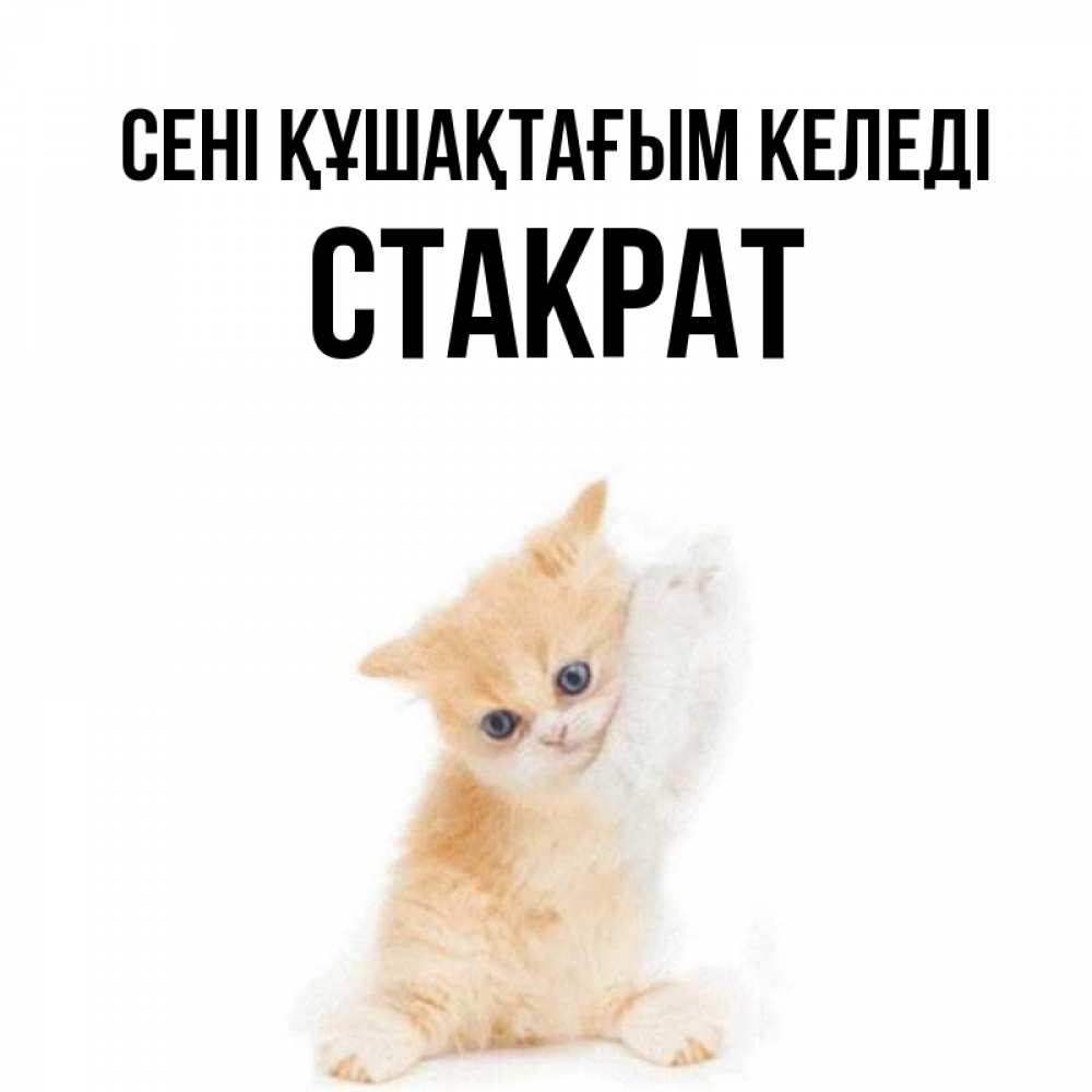 Күн сайын ашық хат с именем, Стакрат сені құшақтағым келеді я хочу очень скорее обнимаешек Онлайн тегін жүктеп алу тілектері бар керемет карта 