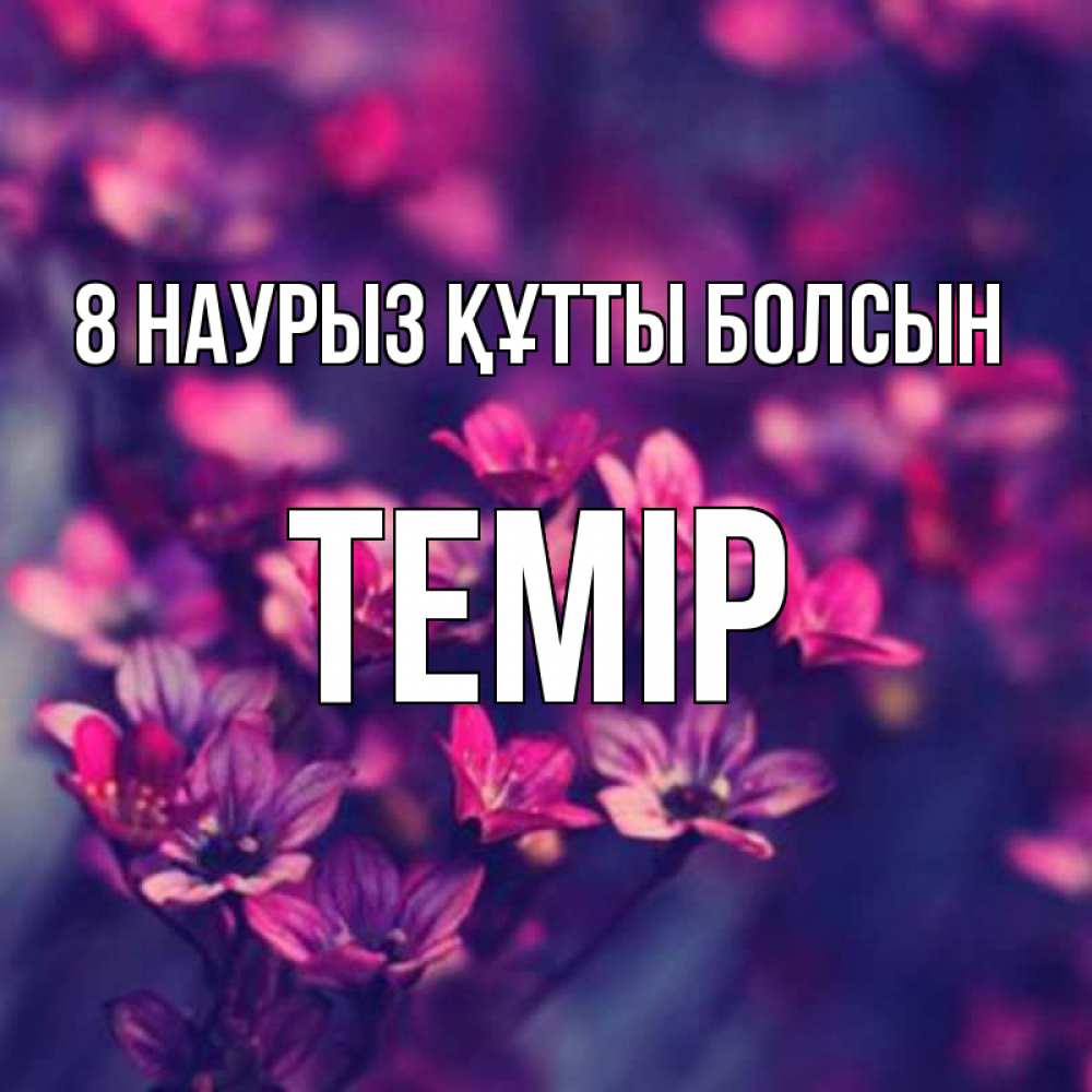 Күн сайын ашық хат с именем, ТЕМІР 8 наурыз құтты болсын небольшие цветы 1 Онлайн тегін жүктеп алу тілектері бар керемет карта 