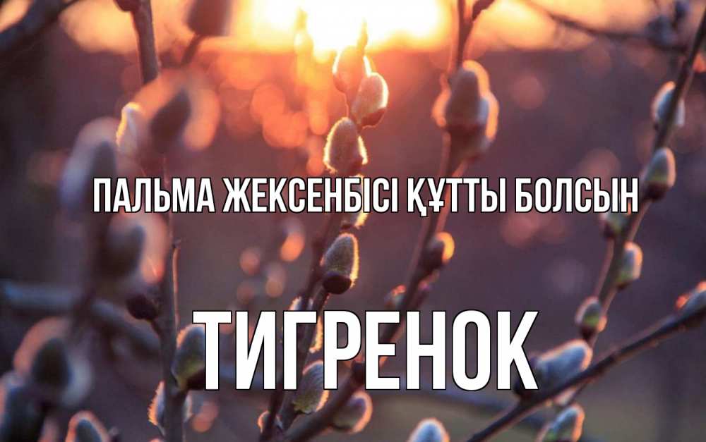 Күн сайын ашық хат с именем, Тигренок Пальма жексенбісі құтты болсын верба Онлайн тегін жүктеп алу тілектері бар керемет карта 