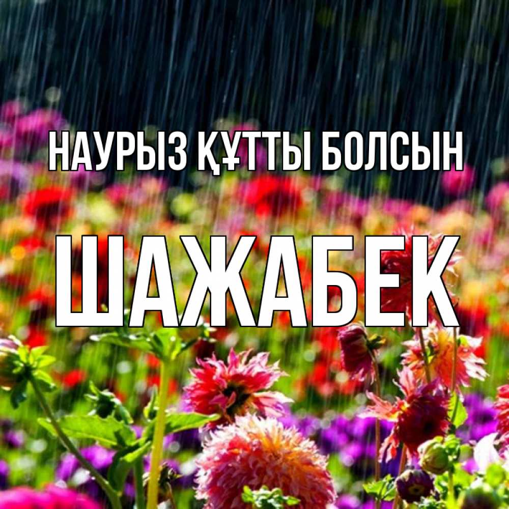 Күн сайын ашық хат с именем, ШАЖАБЕК Наурыз құтты болсын цветы под дождиком к наурызу Онлайн тегін жүктеп алу тілектері бар керемет карта 