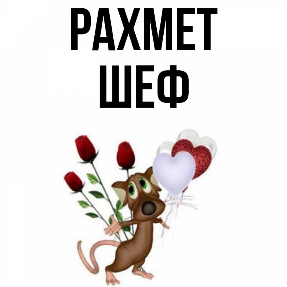 Күн сайын ашық хат с именем, Шеф рахмет песик с шариками в форме сердец Онлайн тегін жүктеп алу тілектері бар керемет карта 
