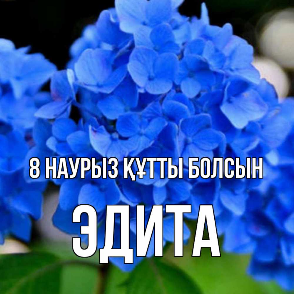 Күн сайын ашық хат с именем, Эдита 8 наурыз құтты болсын синие цветы Онлайн тегін жүктеп алу тілектері бар керемет карта 
