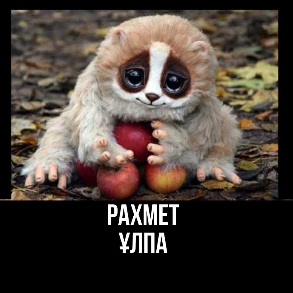 Күн сайын ашық хат с именем, ҰЛПА рахмет прикольное животное Онлайн тегін жүктеп алу тілектері бар керемет карта 