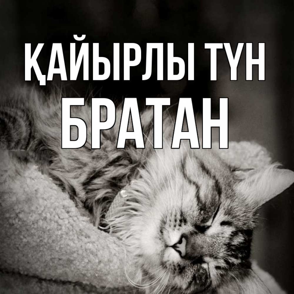 Күн сайын ашық хат с именем, Братан Қайырлы түн котярик пушистый Онлайн тегін жүктеп алу тілектері бар керемет карта 