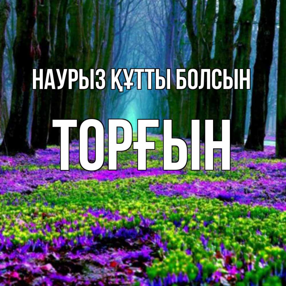 Күн сайын ашық хат с именем, ТОРҒЫН Наурыз құтты болсын фиолетовые цветы в лесу 1 Онлайн тегін жүктеп алу тілектері бар керемет карта 