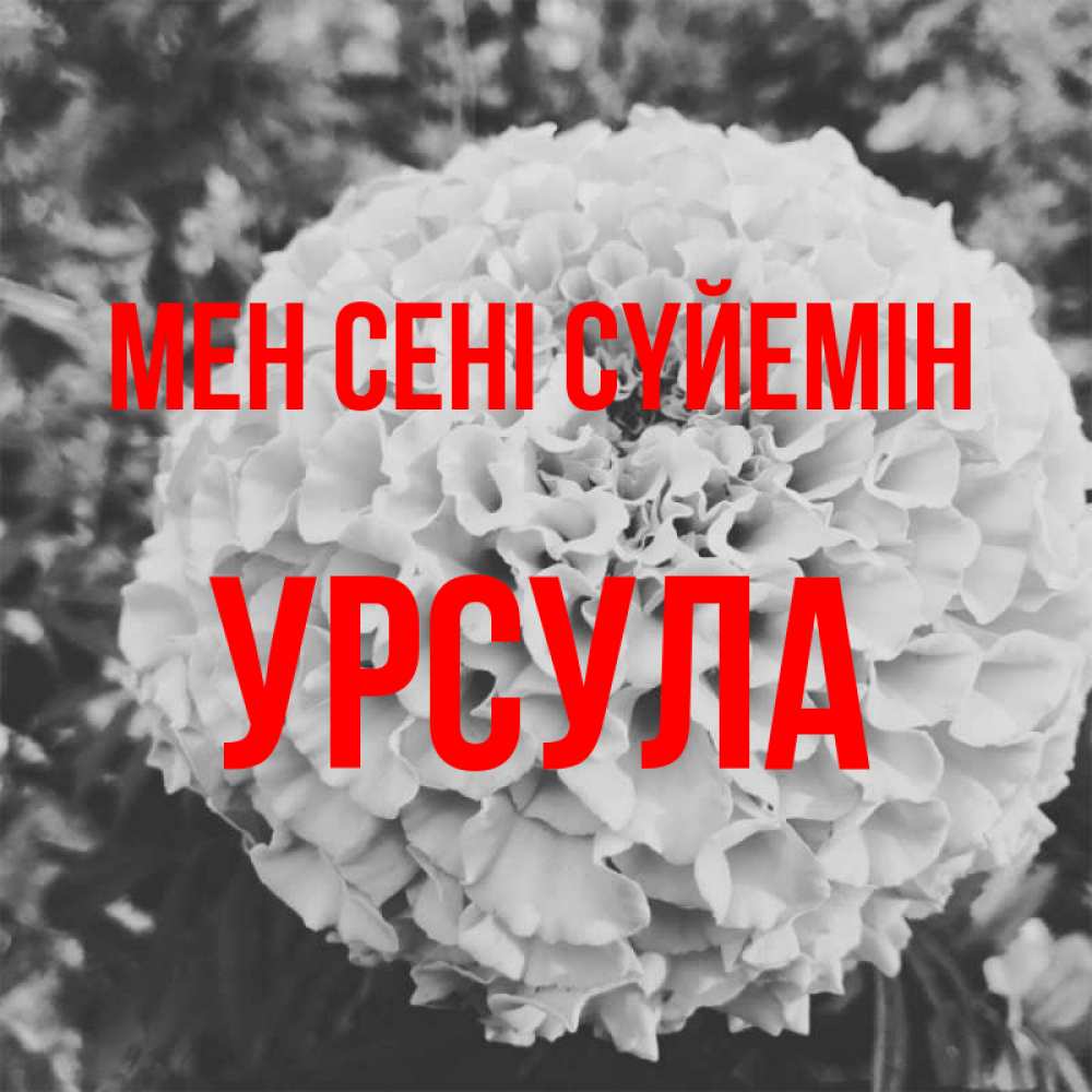 Күн сайын ашық хат с именем, Урсула Мен сені сүйемін подпись Онлайн тегін жүктеп алу тілектері бар керемет карта 