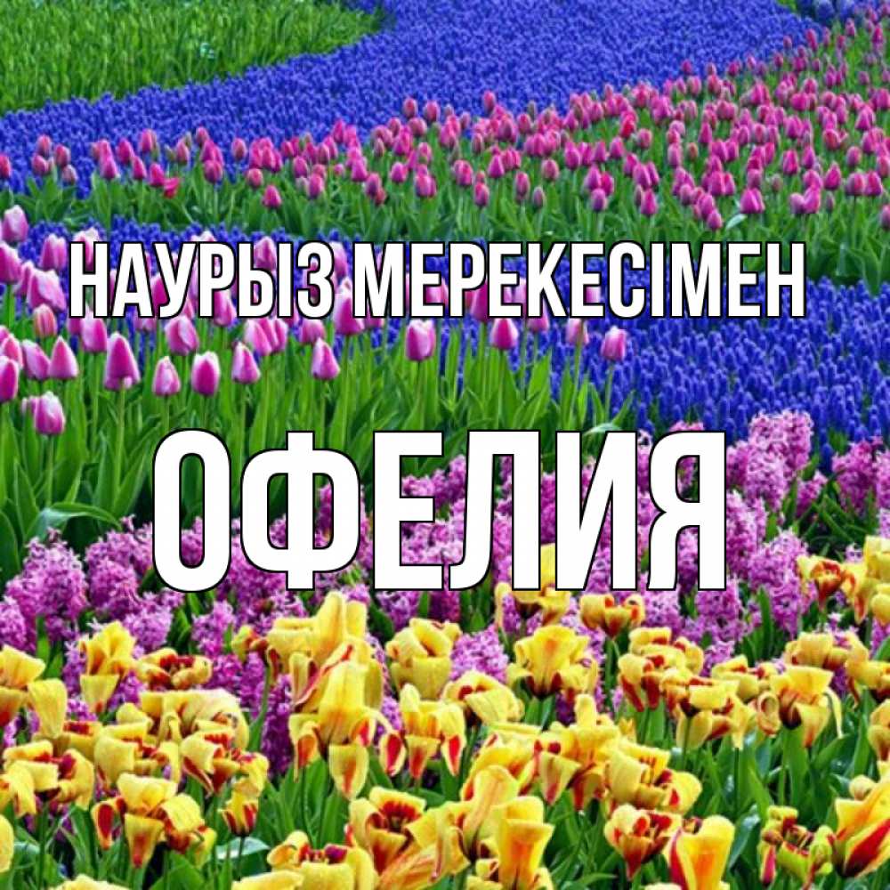 Күн сайын ашық хат с именем, Офелия Наурыз мерекесімен цветы Онлайн тегін жүктеп алу тілектері бар керемет карта 