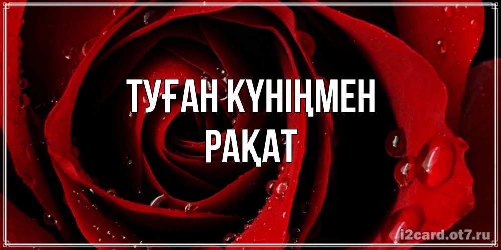 Күн сайын ашық хат с именем, РАҚАТ Туған күніңмен крупная бордовая роза Онлайн тегін жүктеп алу тілектері бар керемет карта 