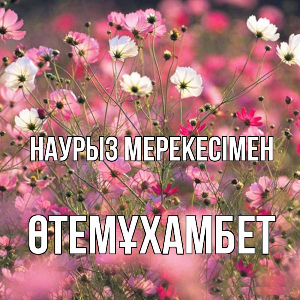 Күн сайын ашық хат с именем, ӨТЕМҰХАМБЕТ Наурыз мерекесімен красиво 1 Онлайн тегін жүктеп алу тілектері бар керемет карта 
