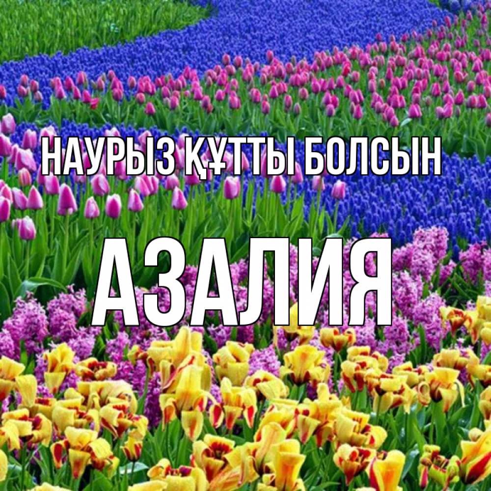 Күн сайын ашық хат с именем, Азалия Наурыз құтты болсын цветы Онлайн тегін жүктеп алу тілектері бар керемет карта 