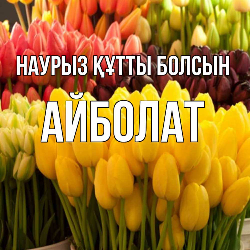Күн сайын ашық хат с именем, Айболат Наурыз құтты болсын цветы Онлайн тегін жүктеп алу тілектері бар керемет карта 