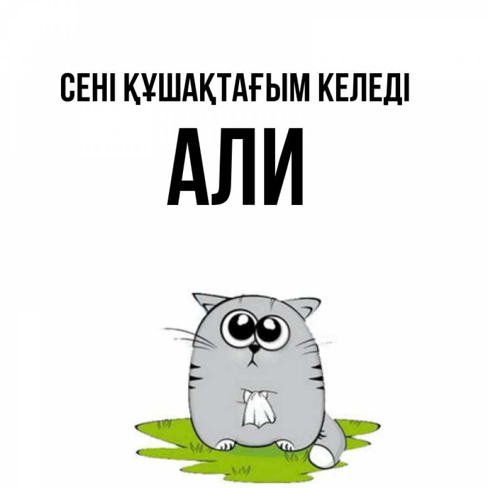 Күн сайын ашық хат с именем, Али сені құшақтағым келеді котик теребит платочек сидя на травке Онлайн тегін жүктеп алу тілектері бар керемет карта 