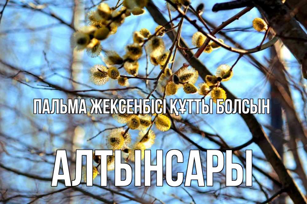 Күн сайын ашық хат с именем, Алтынсары Пальма жексенбісі құтты болсын верба Онлайн тегін жүктеп алу тілектері бар керемет карта 