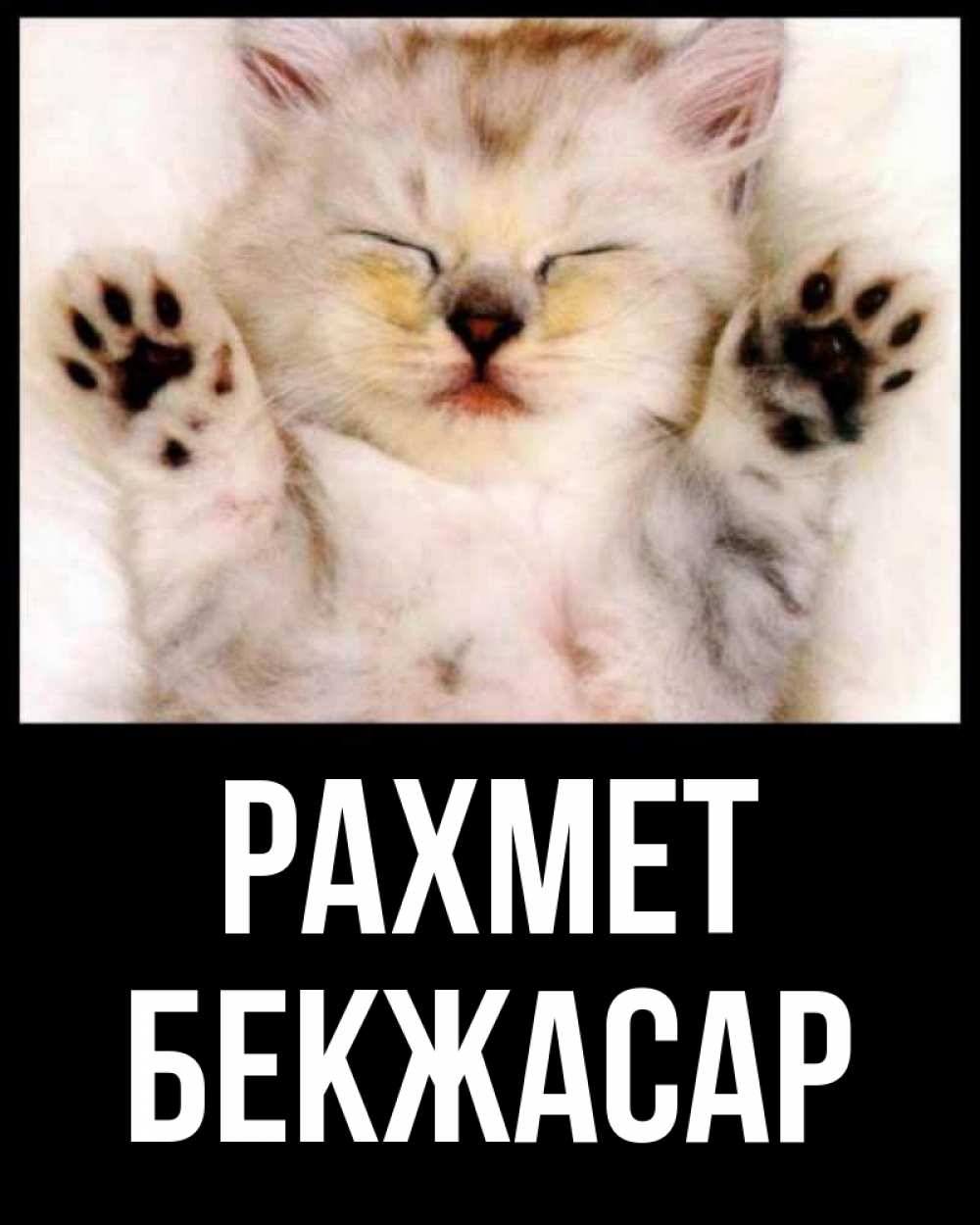 Күн сайын ашық хат с именем, Бекжасар рахмет маленький котенок Онлайн тегін жүктеп алу тілектері бар керемет карта 