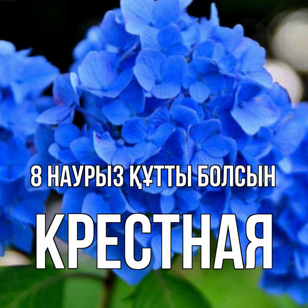 Күн сайын ашық хат с именем, Крестная 8 наурыз құтты болсын синие цветы Онлайн тегін жүктеп алу тілектері бар керемет карта 