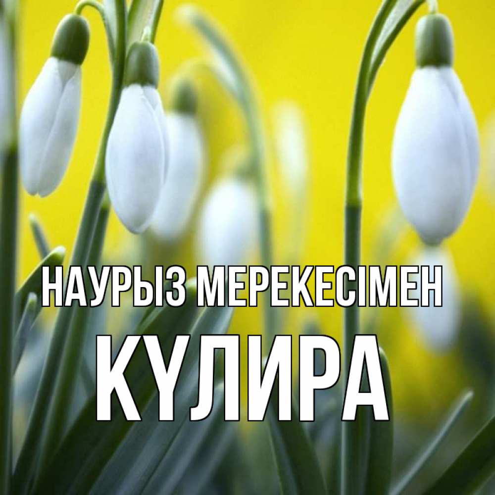 Күн сайын ашық хат с именем, КҮЛИРА Наурыз мерекесімен весенние цветы Онлайн тегін жүктеп алу тілектері бар керемет карта 
