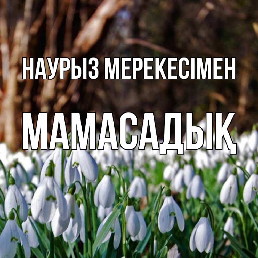 Күн сайын ашық хат с именем, МАМАСАДЫҚ Наурыз мерекесімен с подснежниками 1 Онлайн тегін жүктеп алу тілектері бар керемет карта 