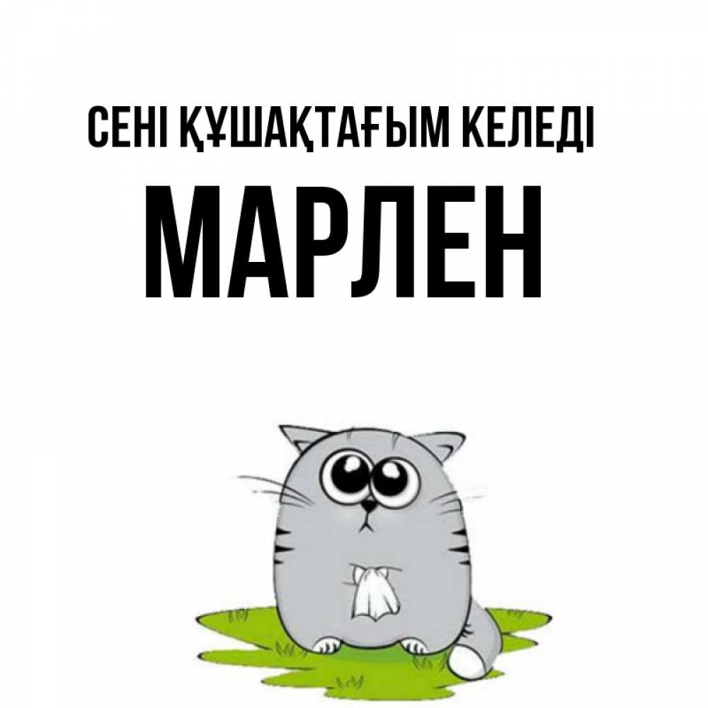 Күн сайын ашық хат с именем, МАРЛЕН сені құшақтағым келеді котик теребит платочек сидя на травке Онлайн тегін жүктеп алу тілектері бар керемет карта 