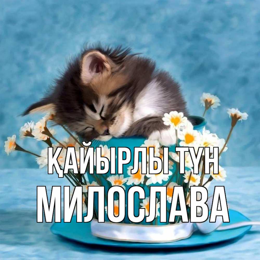 Күн сайын ашық хат с именем, Милослава Қайырлы түн котенок спит в кружке с блюдцем Онлайн тегін жүктеп алу тілектері бар керемет карта 