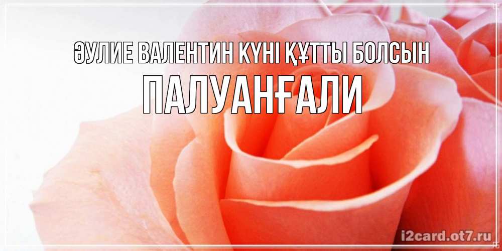 Күн сайын ашық хат с именем, ПАЛУАНҒАЛИ Әулие Валентин күні құтты болсын открытка на день Святого Валентина с розовой розой Онлайн тегін жүктеп алу тілектері бар керемет карта 