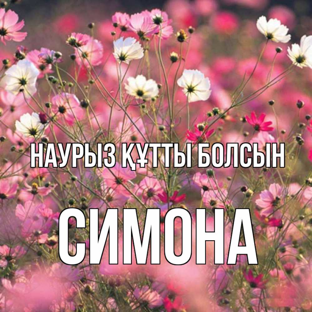 Күн сайын ашық хат с именем, Симона Наурыз құтты болсын красиво 1 Онлайн тегін жүктеп алу тілектері бар керемет карта 