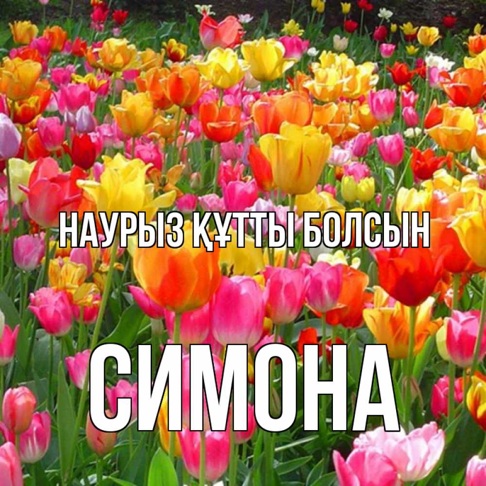 Күн сайын ашық хат с именем, Симона Наурыз құтты болсын на наурыз  ура ура Онлайн тегін жүктеп алу тілектері бар керемет карта 