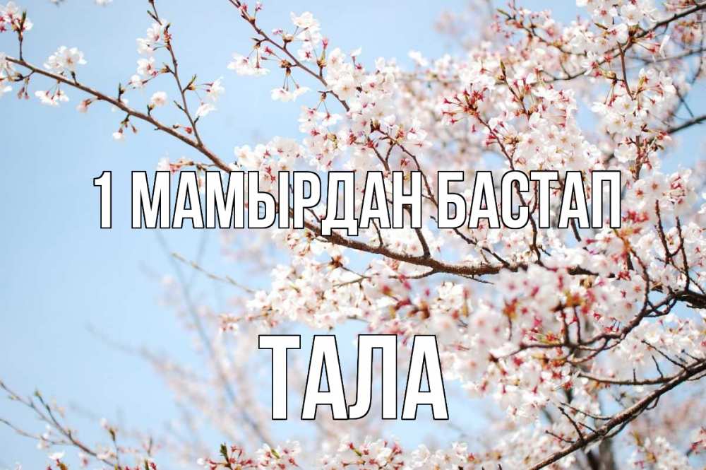 Күн сайын ашық хат с именем, Тала 1 мамырдан бастап С 1 мая Онлайн тегін жүктеп алу тілектері бар керемет карта 