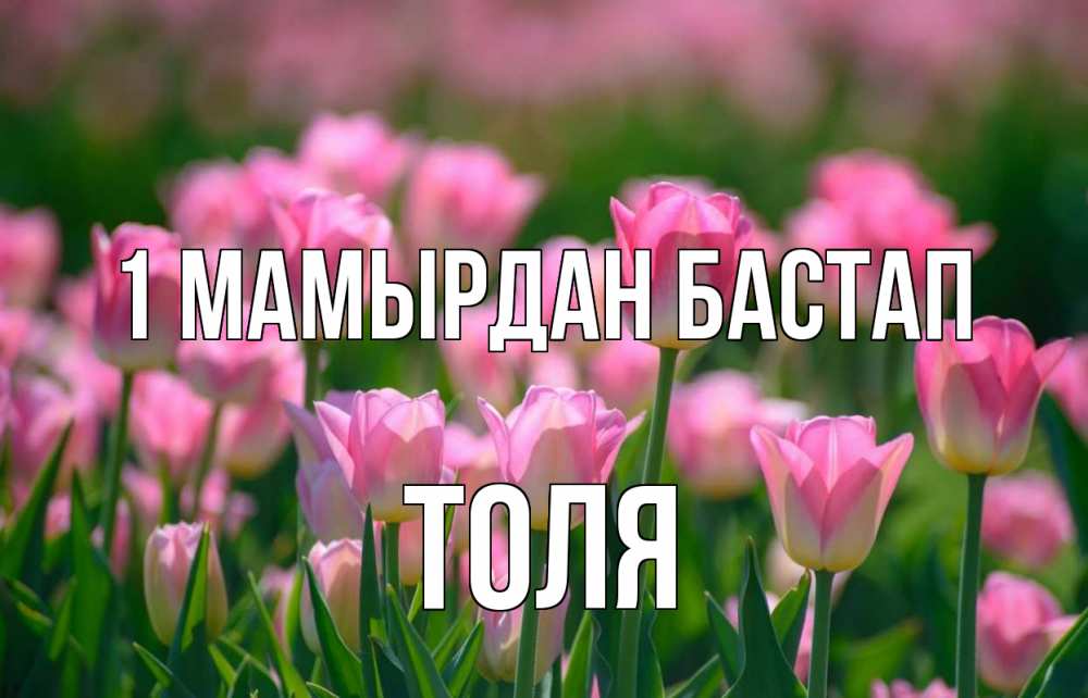 Күн сайын ашық хат с именем, Толя 1 мамырдан бастап С 1 мая Онлайн тегін жүктеп алу тілектері бар керемет карта 