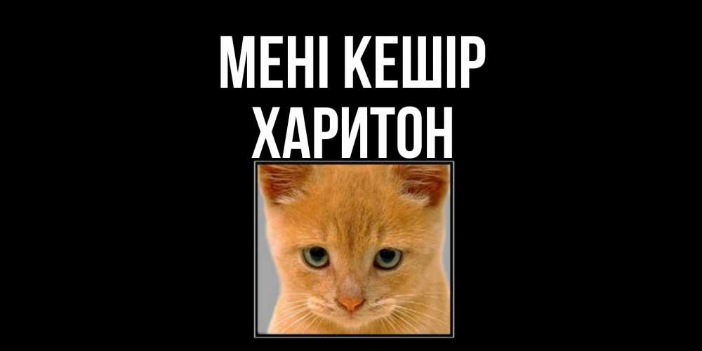 Күн сайын ашық хат с именем, Харитон Мені кешір рыжий грустный кот просит прощения Онлайн тегін жүктеп алу тілектері бар керемет карта 