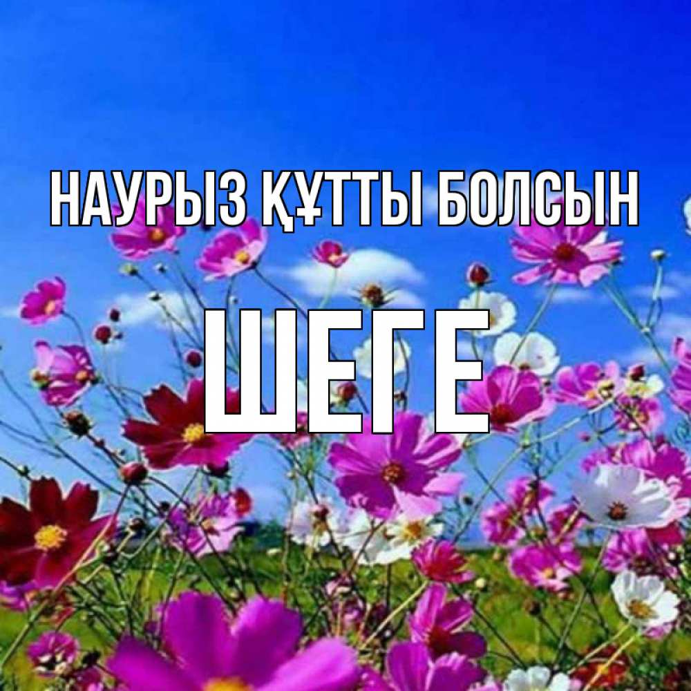 Күн сайын ашық хат с именем, ШЕГЕ Наурыз құтты болсын цветы Онлайн тегін жүктеп алу тілектері бар керемет карта 