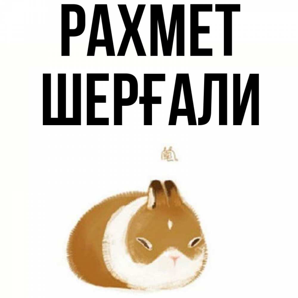Күн сайын ашық хат с именем, ШЕРҒАЛИ рахмет коричнево белый домашний питомец Онлайн тегін жүктеп алу тілектері бар керемет карта 