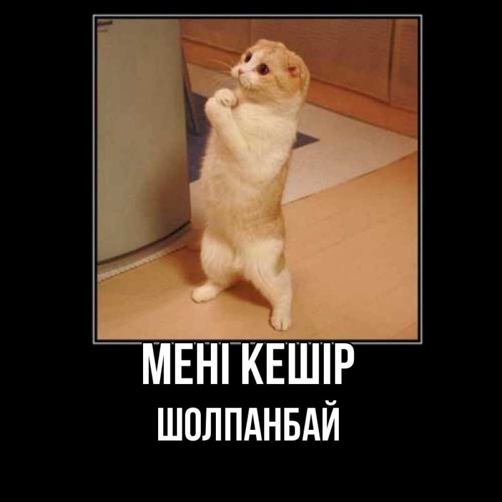 Күн сайын ашық хат с именем, ШОЛПАНБАЙ Мені кешір открытка с милым несчастным котиком просящим прощения Онлайн тегін жүктеп алу тілектері бар керемет карта 