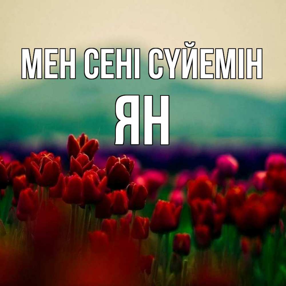 Күн сайын ашық хат с именем, Ян Мен сені сүйемін тюльпаны 4 Онлайн тегін жүктеп алу тілектері бар керемет карта 
