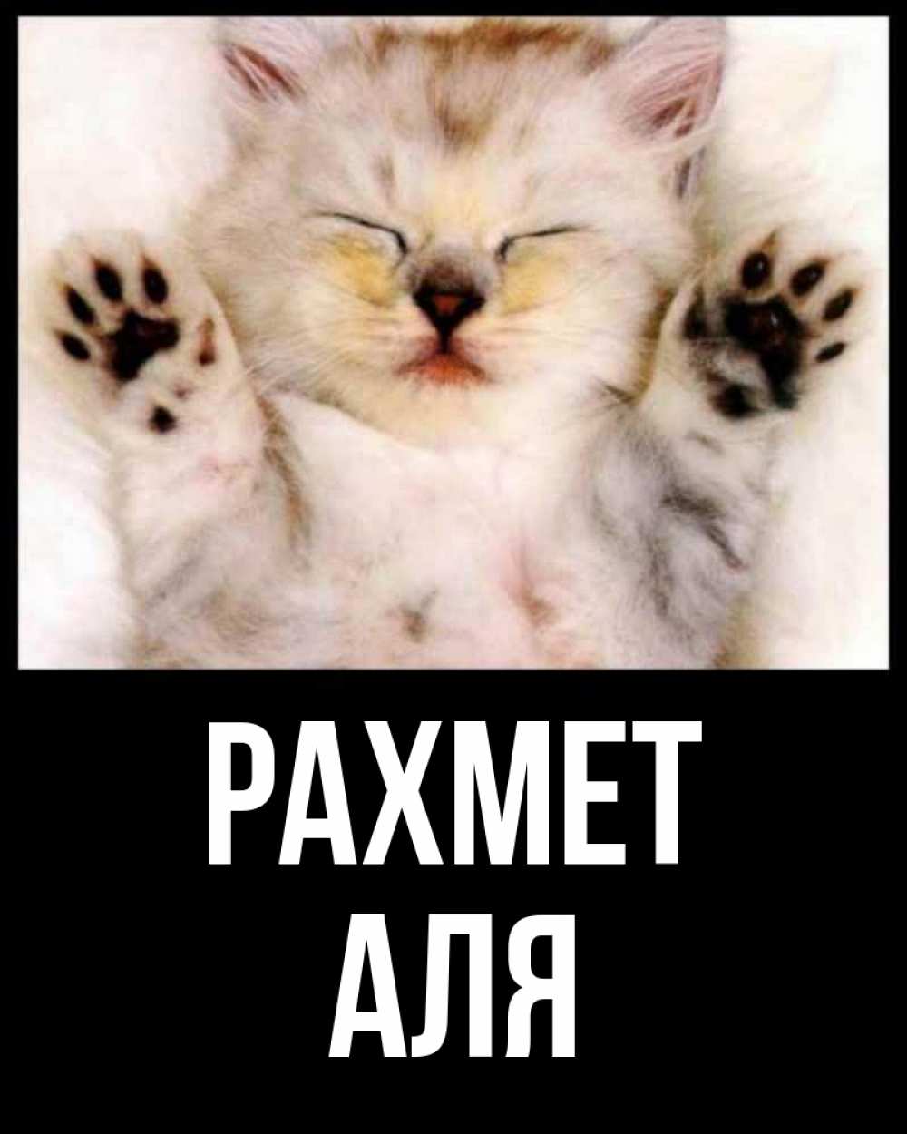 Сонные котики с надписями. Это был так сладко. Сижу и думаю цитаты. Хорошего отдыха после рабочего дня. Смешные фразы.