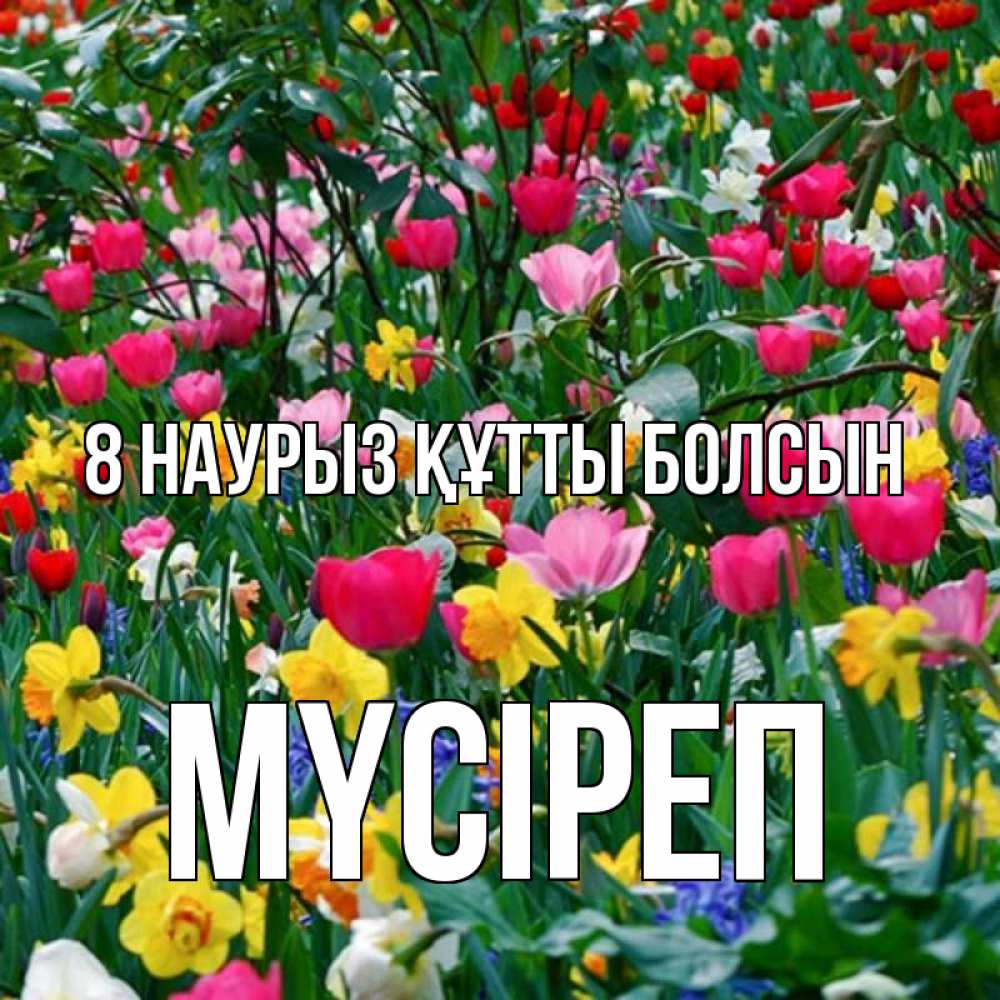 Күн сайын ашық хат с именем, МҮСІРЕП 8 наурыз құтты болсын с международным женским днем поздравления для женщины Онлайн тегін жүктеп алу тілектері бар керемет карта 