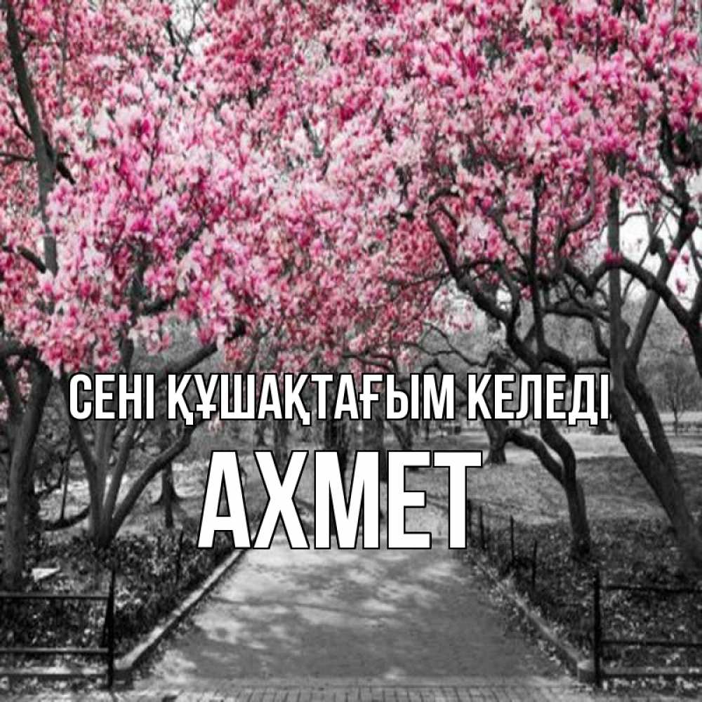 Күн сайын ашық хат с именем, Ахмет сені құшақтағым келеді обработанное фото Онлайн тегін жүктеп алу тілектері бар керемет карта 