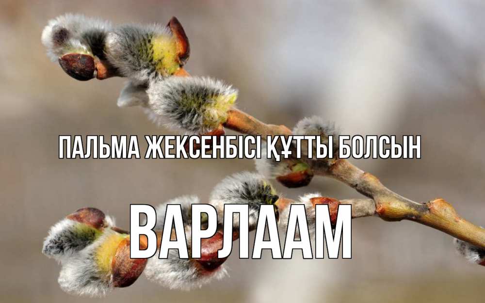 Күн сайын ашық хат с именем, Варлаам Пальма жексенбісі құтты болсын Верба Онлайн тегін жүктеп алу тілектері бар керемет карта 