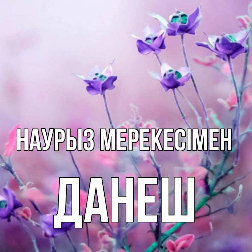 Күн сайын ашық хат с именем, ДАНЕШ Наурыз мерекесімен международный женский день 2 Онлайн тегін жүктеп алу тілектері бар керемет карта 