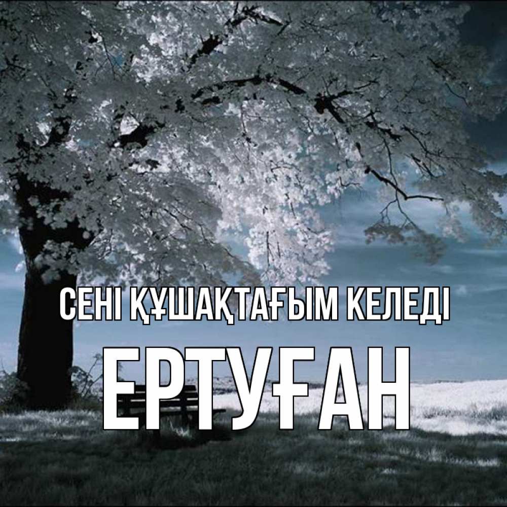 Күн сайын ашық хат с именем, Ертуған сені құшақтағым келеді дерево Онлайн тегін жүктеп алу тілектері бар керемет карта 