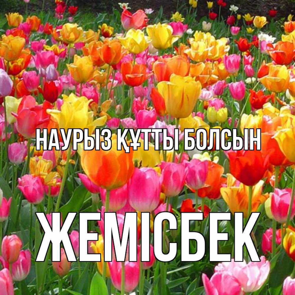 Күн сайын ашық хат с именем, Жемісбек Наурыз құтты болсын на наурыз  ура ура Онлайн тегін жүктеп алу тілектері бар керемет карта 