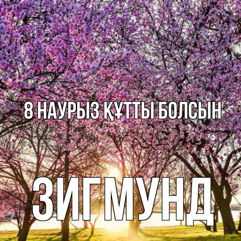 Күн сайын ашық хат с именем, Зигмунд 8 наурыз құтты болсын международный женский день Онлайн тегін жүктеп алу тілектері бар керемет карта 