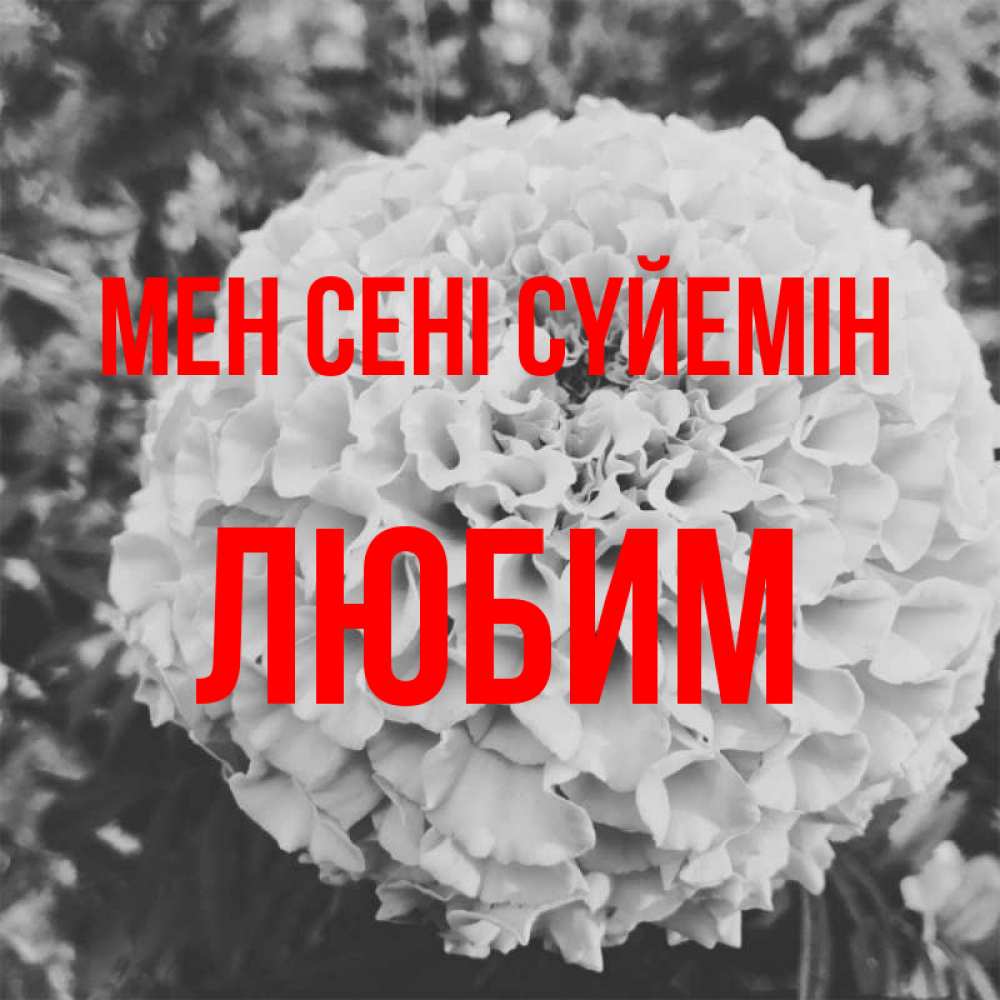 Күн сайын ашық хат с именем, Любим Мен сені сүйемін подпись Онлайн тегін жүктеп алу тілектері бар керемет карта 
