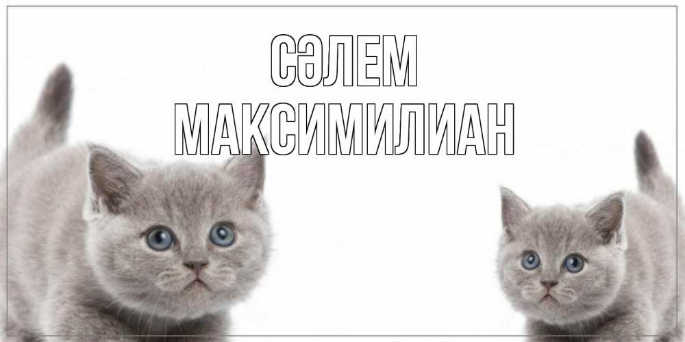 Күн сайын ашық хат с именем, Максимилиан Сәлем коты Онлайн тегін жүктеп алу тілектері бар керемет карта 
