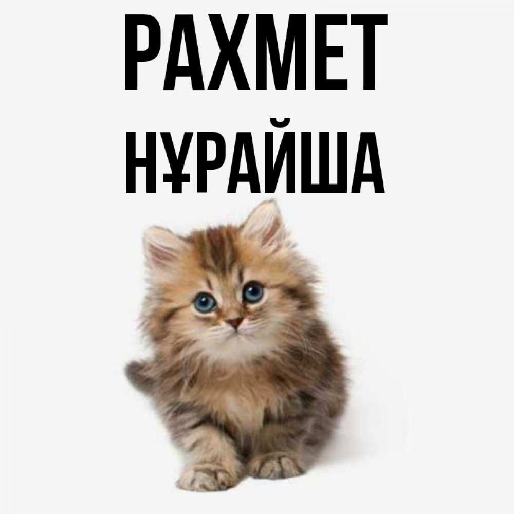 Күн сайын ашық хат с именем, НҰРАЙША рахмет пушистый котик Онлайн тегін жүктеп алу тілектері бар керемет карта 
