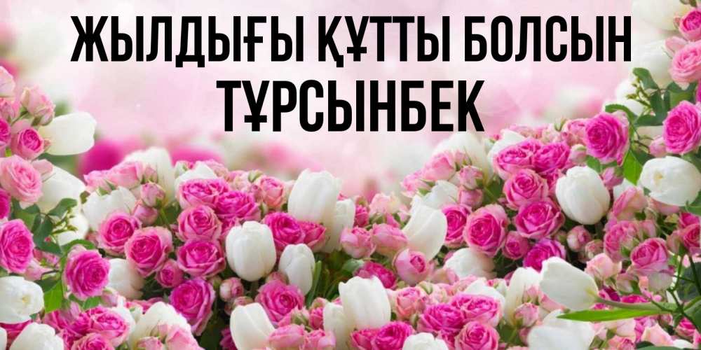 Күн сайын ашық хат с именем, ТҰРСЫНБЕК Жылдығы құтты болсын открытка с разными розами Онлайн тегін жүктеп алу тілектері бар керемет карта 