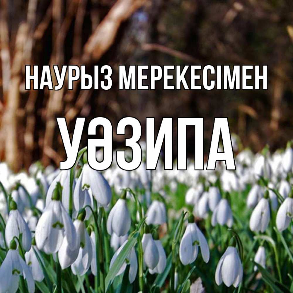 Күн сайын ашық хат с именем, УӘЗИПА Наурыз мерекесімен с подснежниками 1 Онлайн тегін жүктеп алу тілектері бар керемет карта 