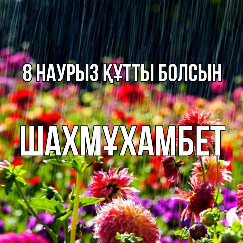 Күн сайын ашық хат с именем, ШАХМҰХАМБЕТ 8 наурыз құтты болсын цветы под дождиком к международному женскому дню Онлайн тегін жүктеп алу тілектері бар керемет карта 