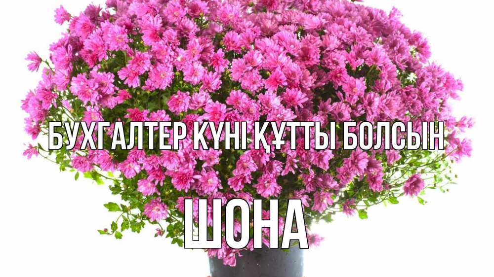 Күн сайын ашық хат с именем, ШОНА бухгалтер күні құтты болсын с днем бухгалтера Онлайн тегін жүктеп алу тілектері бар керемет карта 