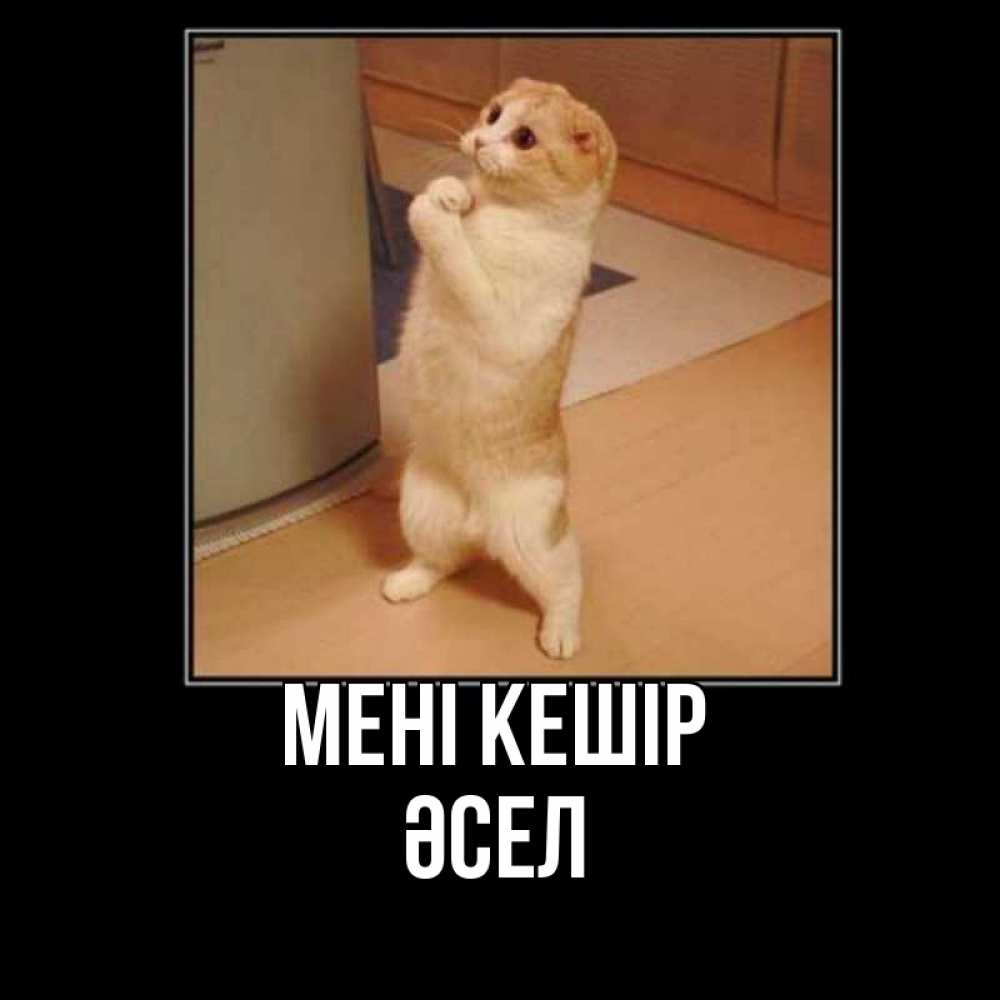 Күн сайын ашық хат с именем, ӘСЕЛ Мені кешір открытка с милым несчастным котиком просящим прощения Онлайн тегін жүктеп алу тілектері бар керемет карта 