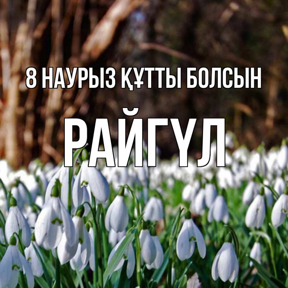 Күн сайын ашық хат с именем, РАЙГҮЛ 8 наурыз құтты болсын с подснежниками 1 Онлайн тегін жүктеп алу тілектері бар керемет карта 